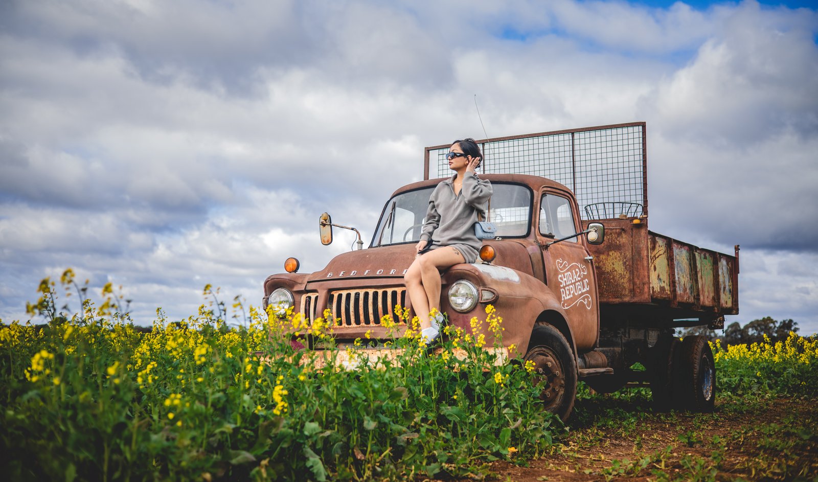 Exploring Nature's Canvas: A Walk Through the Vibrant Canola Fields